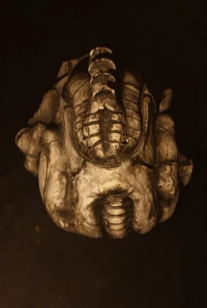 Зображення "Ембріон 3" від Світлана Редкач, розмір: 36*27, матеріали: кераміка, шамотна маса, глазурі, медіум: Скульптура, місто: Львів, ціна: $1000